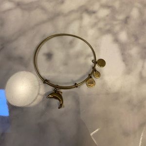 alex and ani dolphin charm bracelet